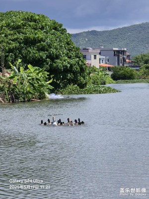 【遇見五月天】愜意舒適???的農(nóng)村