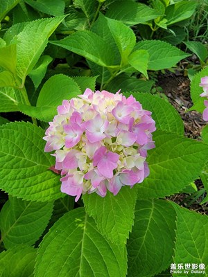 【遇見五月天】+公園樂趣