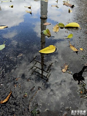 【遇見五月天】+靚麗色彩