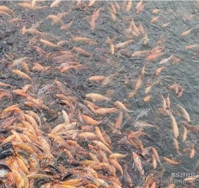 【夏日清涼】最美大自然