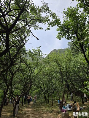 【遇見五月天】+隨拍