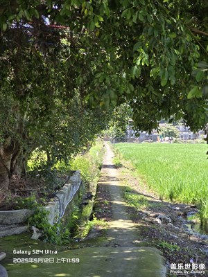 【遇見(jiàn)五月天】麥浪