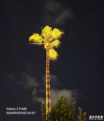 【遇見五月天】夏夜，霓虹如星