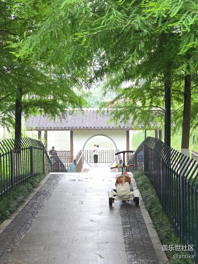 發(fā)圖，愛上攝影