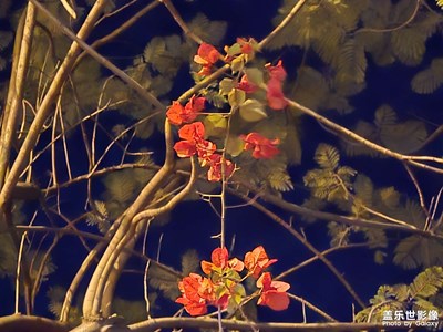 【遇見五月天】+暖黃色的光