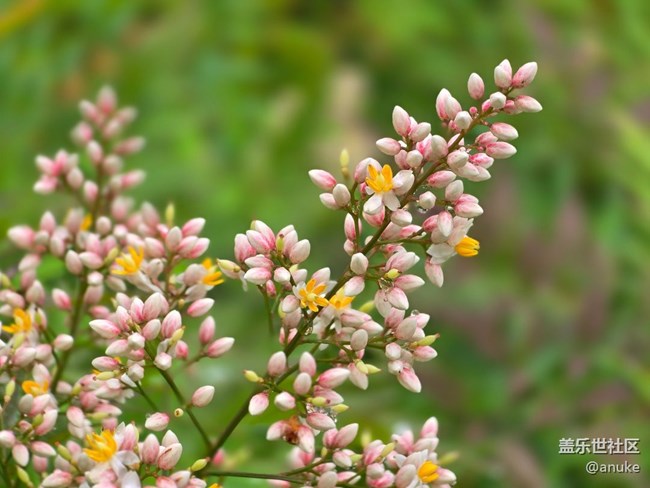 發(fā)圖，愛上攝影