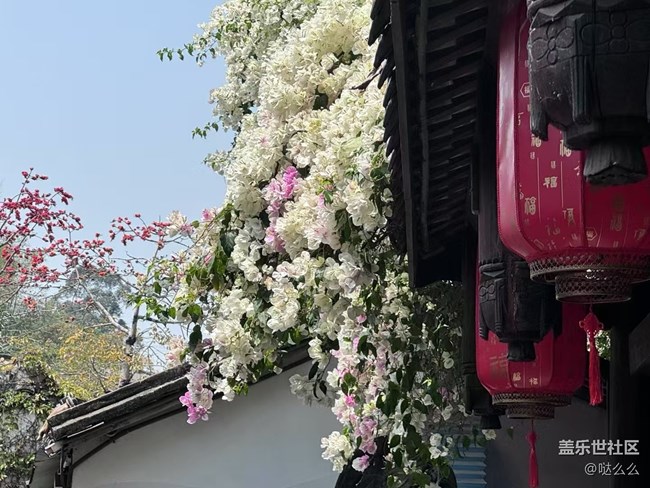 【自然的美妙】+大花花們