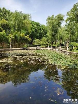 【遇見五月天】夏日午后