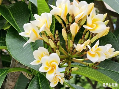 【遇見(jiàn)五月天】賞花