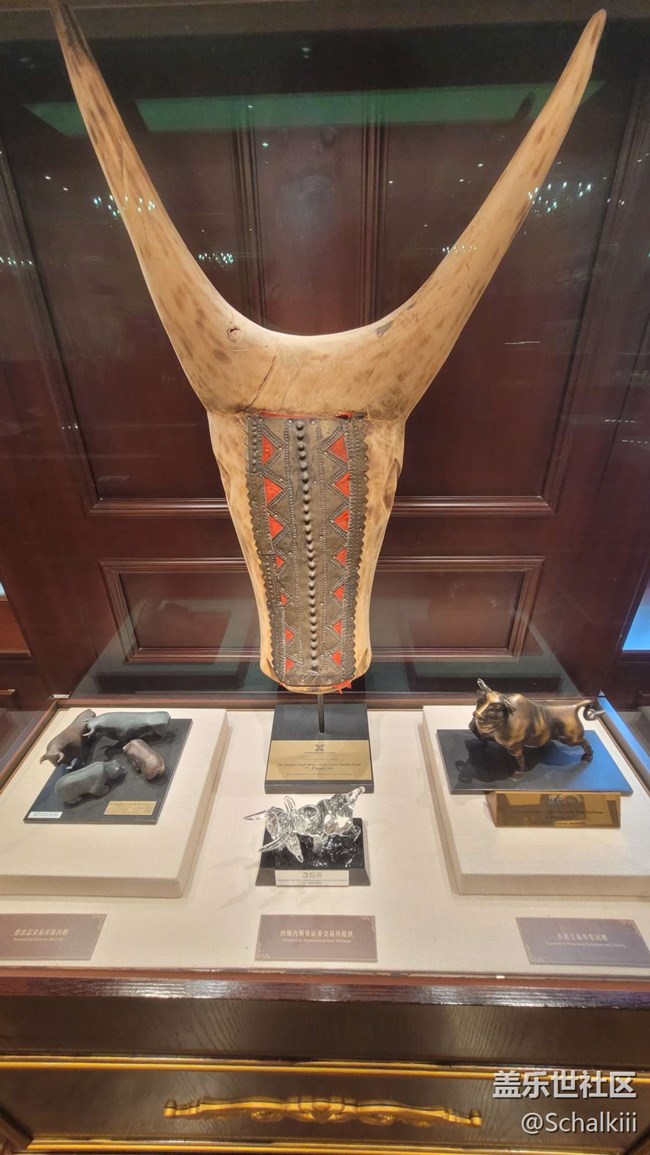 【中國證券博物館線下攝影活動】+活動回顧