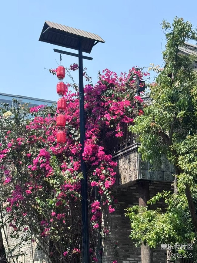 【自然的美妙】+大花花們