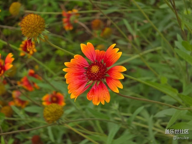 發(fā)圖，愛上攝影