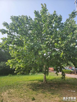 遇見五月天 美好五月