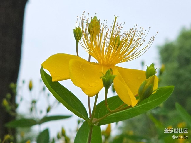 發(fā)圖，愛上攝影