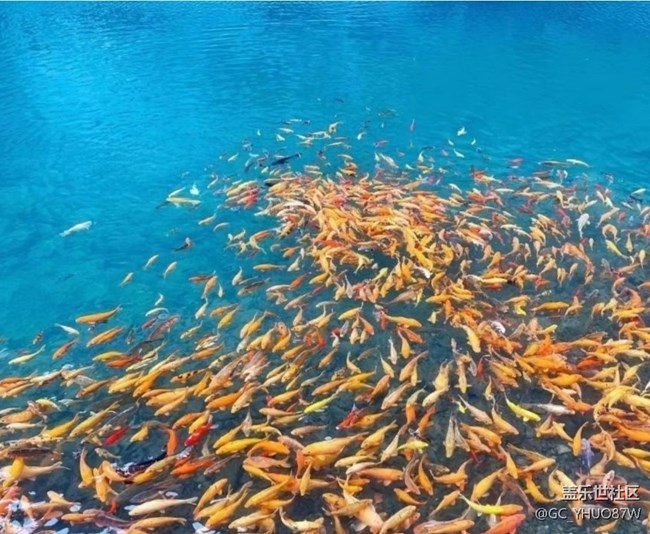 【夏日清涼】夏初風(fēng)景好