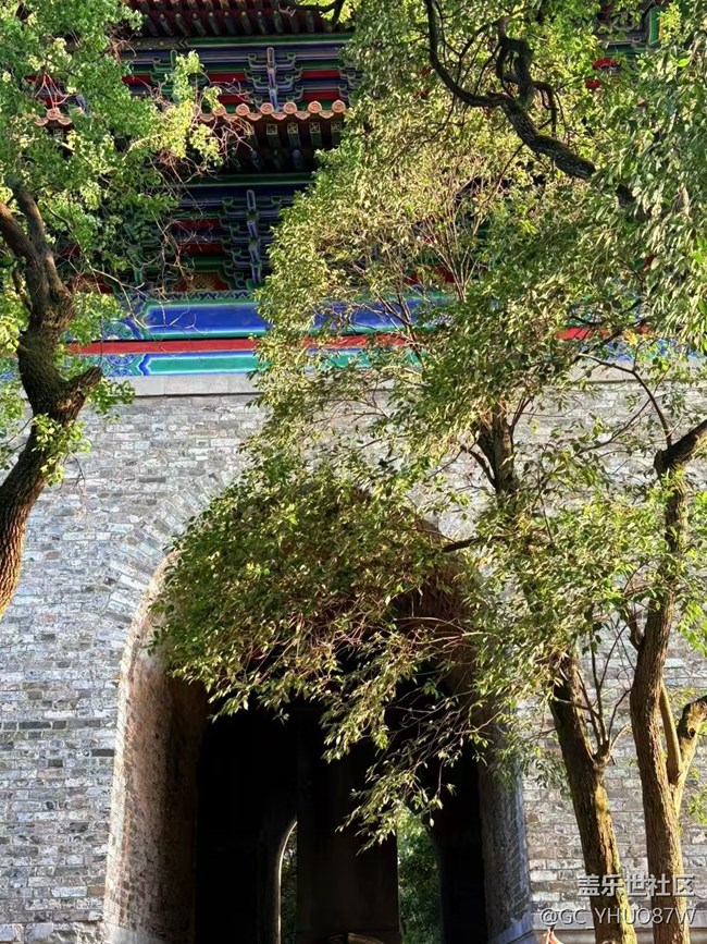 【Galaxy影像】#立夏·初夏之約