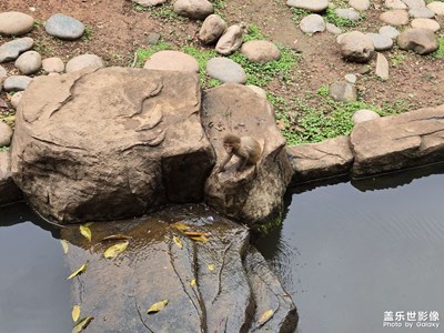 【遇見五月天】+快樂假日