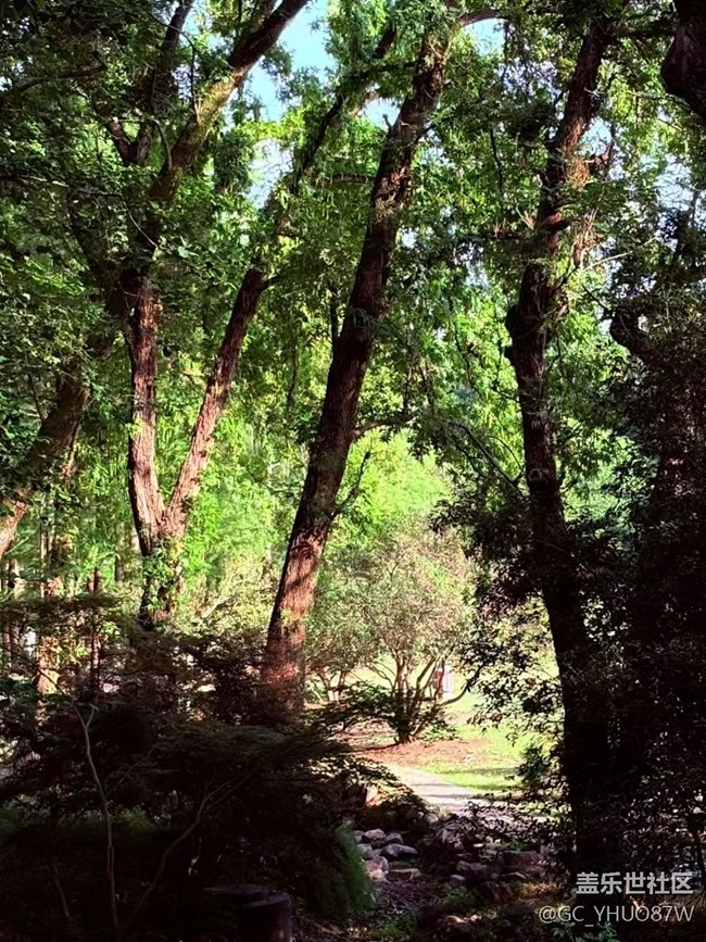 【Galaxy影像】#立夏·初夏之約