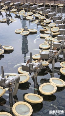 【遇見五月天】小滿節(jié)氣