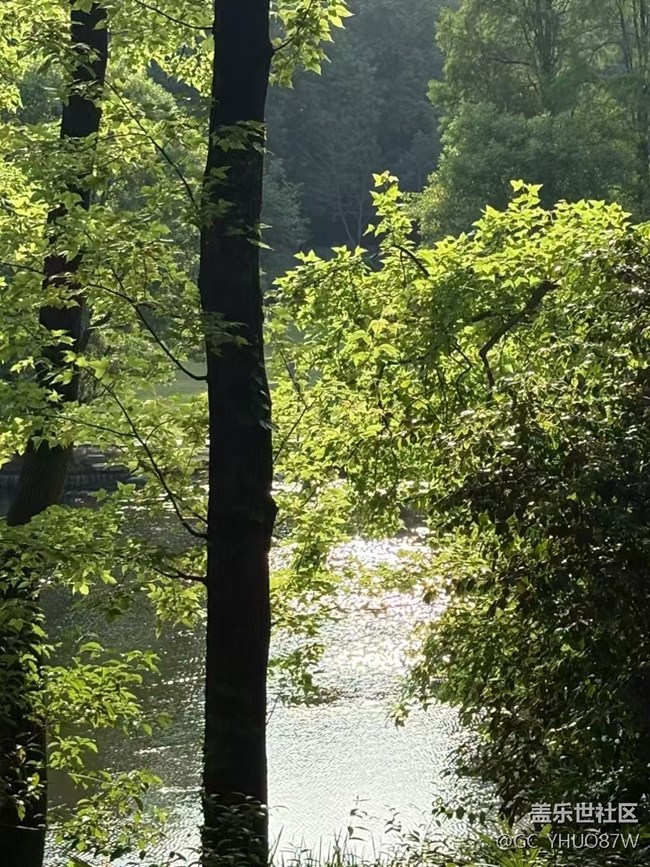 【Galaxy影像】#立夏·初夏之約