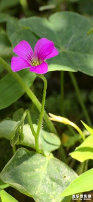 升級(jí)one ui7.0以后