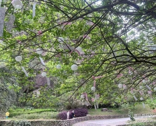 【夏日清涼】夏初風(fēng)景好