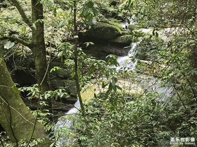 【遇見(jiàn)五月天】+流水