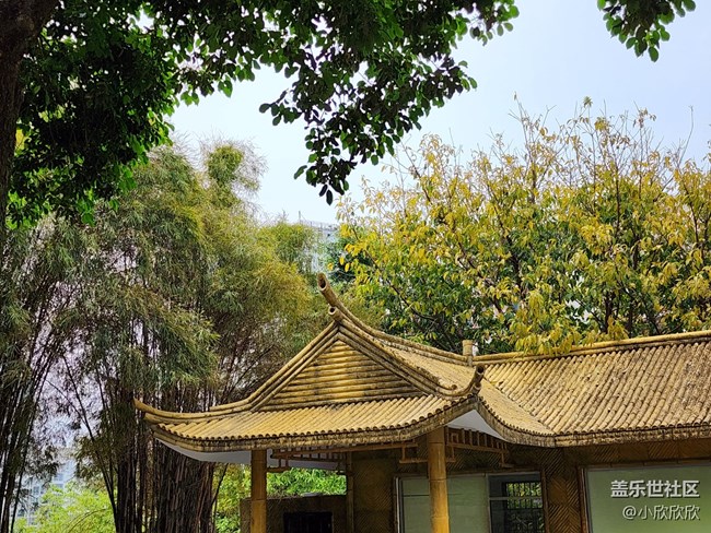 【山水春意】山間一游