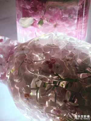 【遇見五月天】把浪漫裝進(jìn)瓶子里