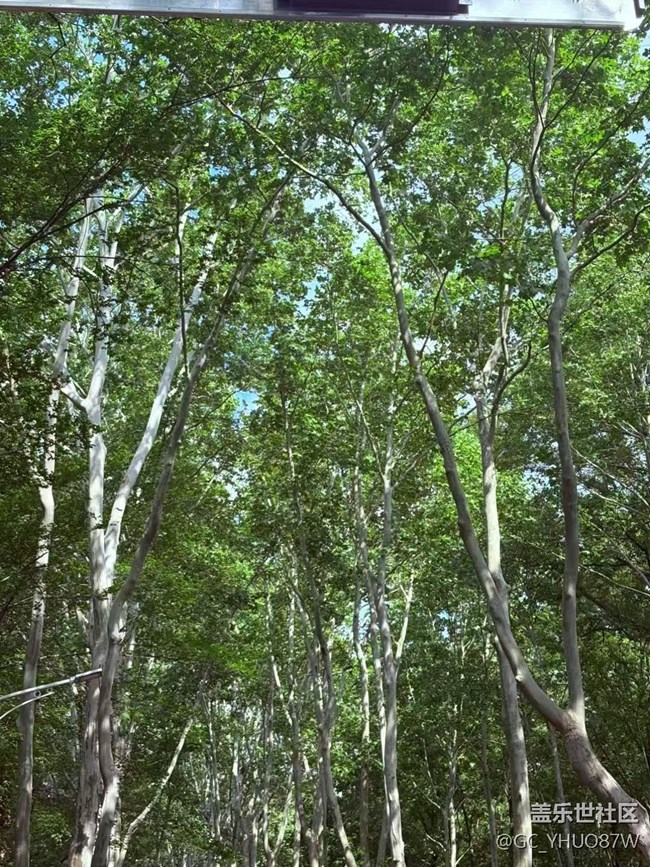 【Galaxy影像】#立夏·初夏之約