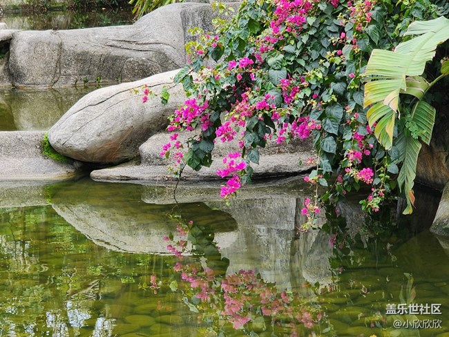 【山水春意】山間一游
