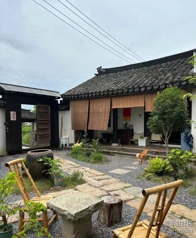 【夏日清涼】院落