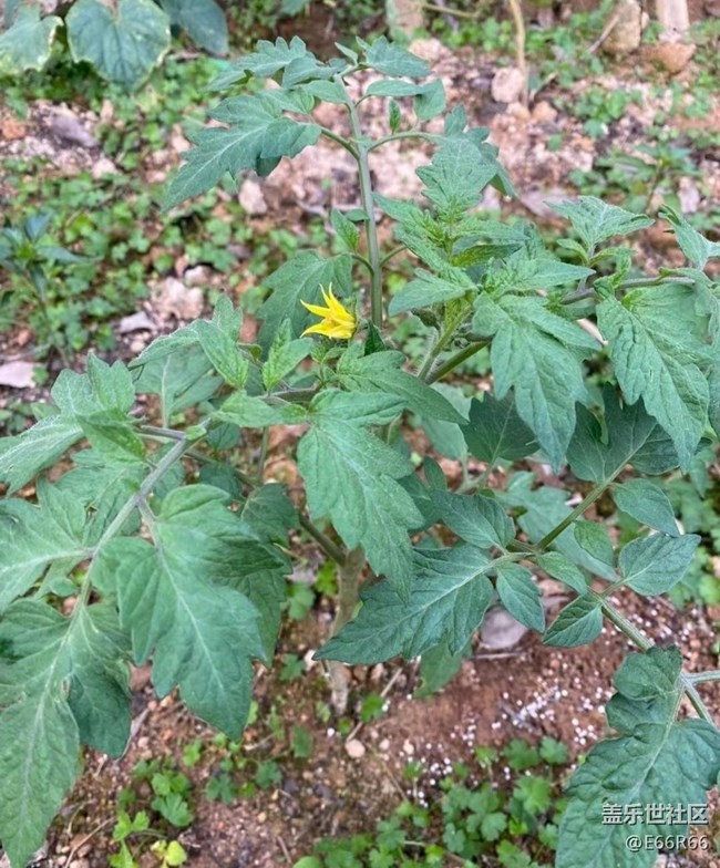 【夏日清涼】下地的快樂