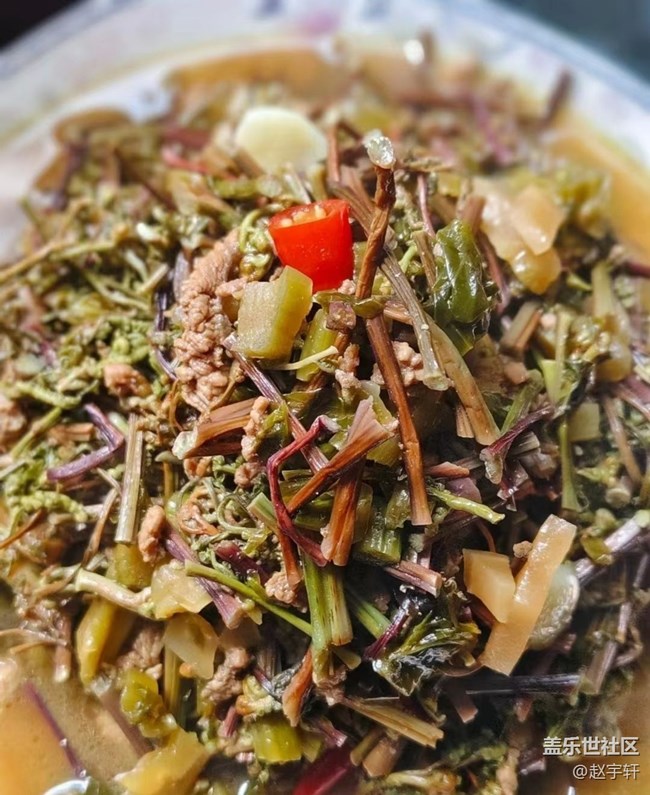 【小滿味滿】吃野菜