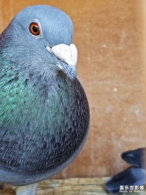 【悅見小滿】+胡同時光