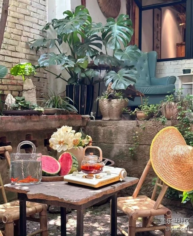 【夏日清涼】院落