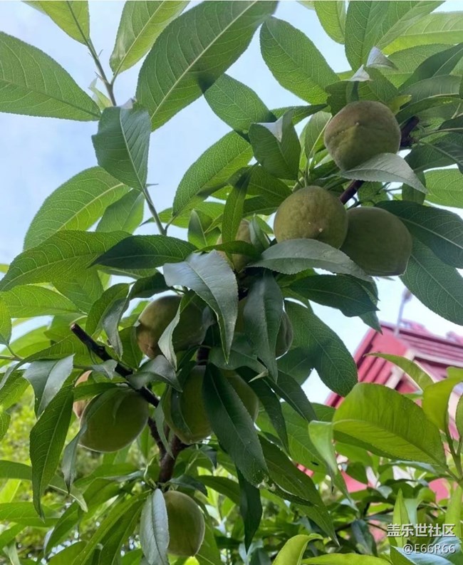 【夏日清涼】下地的快樂