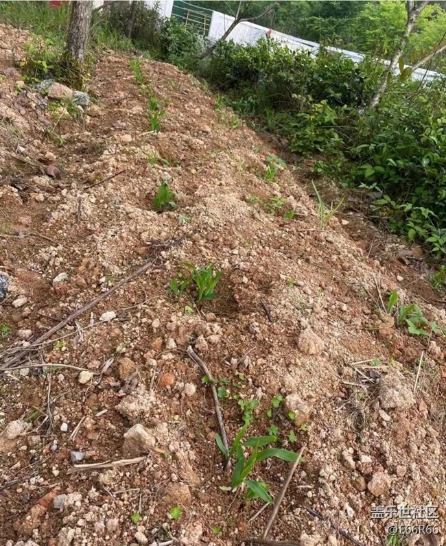 【夏日清涼】下地的快樂