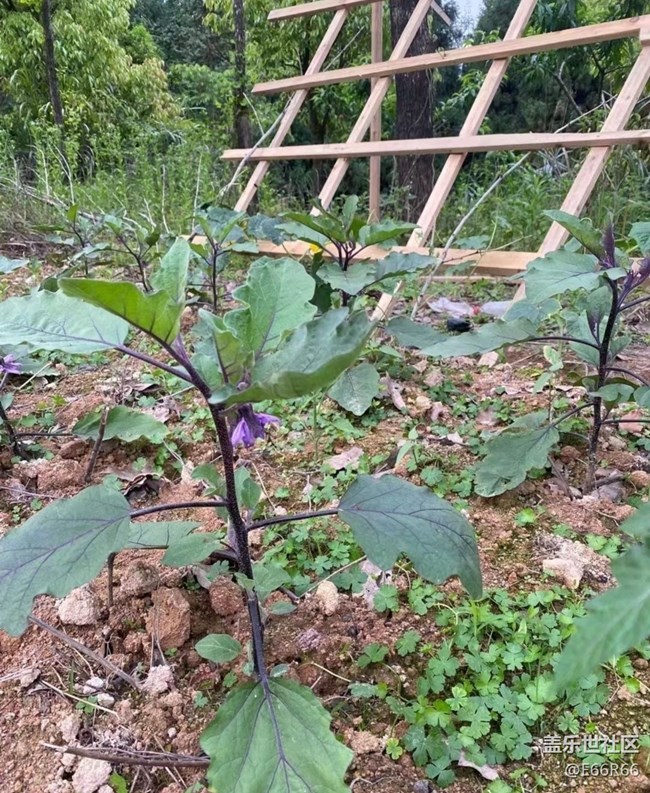 【夏日清涼】下地的快樂