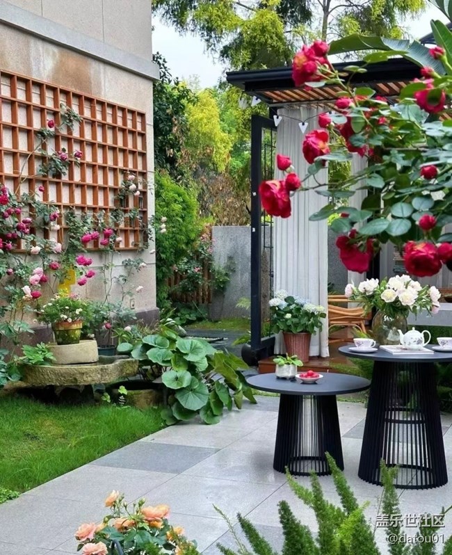 【夏日清涼】院落