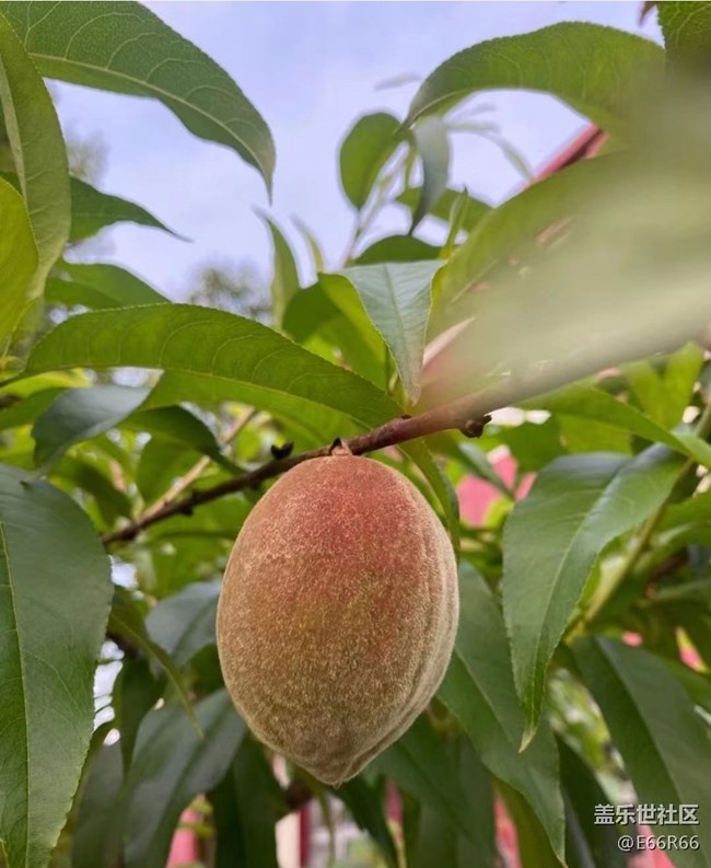【夏日清涼】下地的快樂