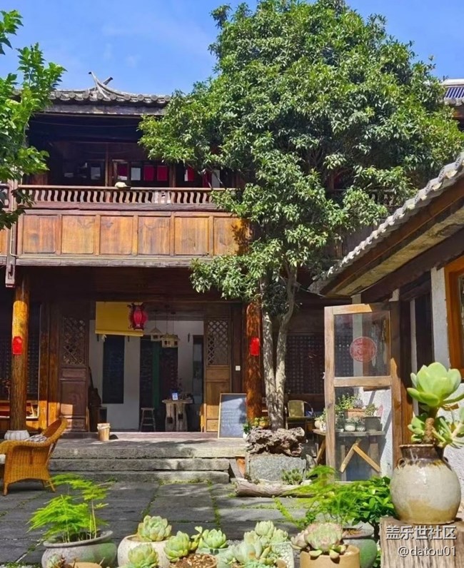 【夏日清涼】院落