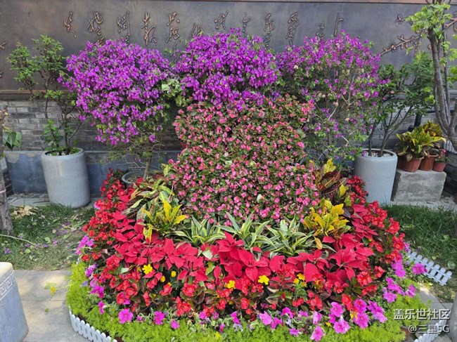 【長焦與微距】石榴與花壇