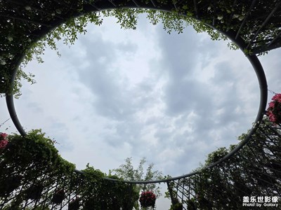 【悅見小滿】花開盛夏