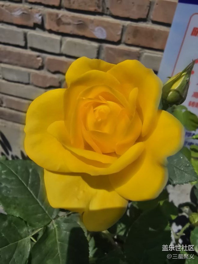 【長焦與微距】真真假假美如畫