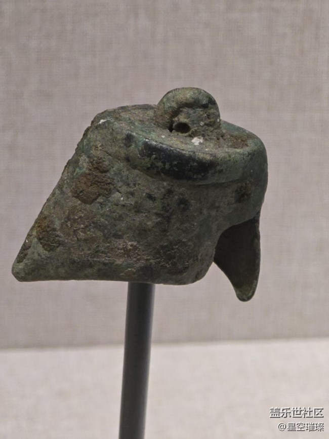 【長焦與微距】造型精湛栩栩如生