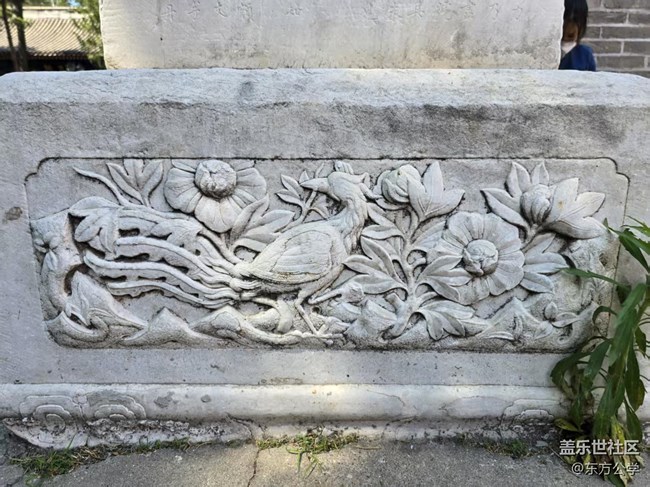 【長焦與微距】碑座石刻之美