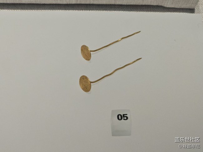 【長焦與微距】真真正正的金簪子