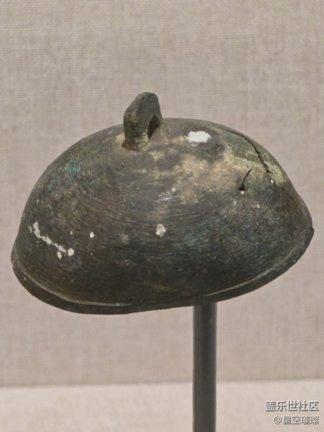 【長焦與微距】造型精湛栩栩如生