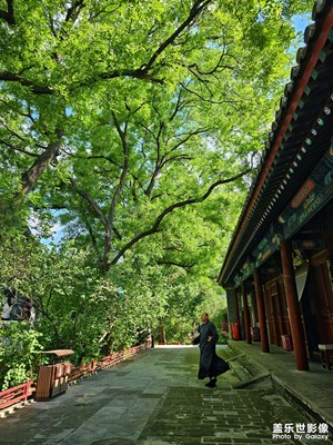 【悅見小滿】古寺風(fēng)光